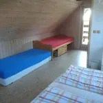 Holiday home S Bazenem Bozkov